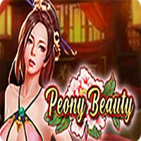 SBOFUNKYGAME